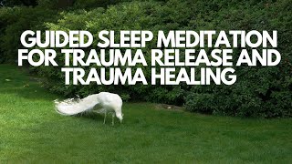Guided sleep meditation for trauma release and trauma healing Healing calming relaxing stress relief