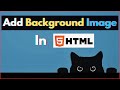 How to Add Full Screen Background Image in HTML using CSS