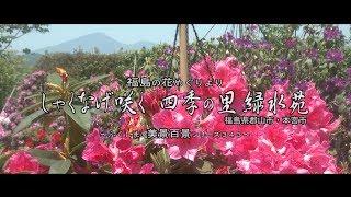 福島の花めぐりより　～しゃくなげ咲く　四季の里緑水苑～