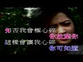 無盡的愛 關淑怡 主唱 karaoke