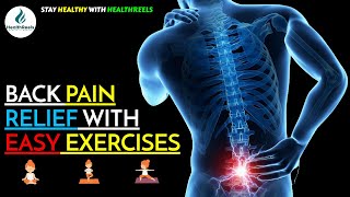 Back Pain Relief with Easy Exercises | Tips and Tricks | Home Remedies | Lower Back Pain Relief