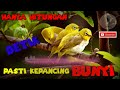 pleci ngalas,hitungan detik pasti bunyi