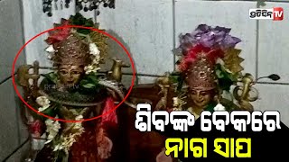 ମହାଦେବ ଶିବଙ୍କ ବେକରେ ନାଗ ସାପ, ଦେଖିବାକୁ ଭକ୍ତଙ୍କ ଭିଡ଼ .. II PratidinTv