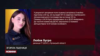 На Луганщині горіло 40 гектарів пшениці