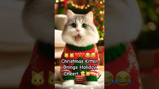 The Most Adorable Christmas Cat Ever! 🎄🎁 #christmaskitten #catvideos  #kittenvideos