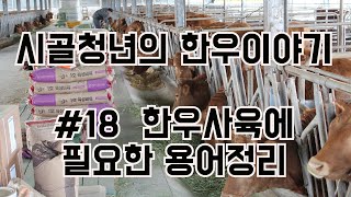 #18 한우사육에 필요한 축산용어 정리편입니다. (시골청년의 한우이야기)