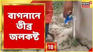 Bagnan Drinking Water Crisis | বাগনানে তীব্র জলকষ্ট! আগুন জ্বালিয়ে পথ অবরোধ,দেখুন Video! Bangla News