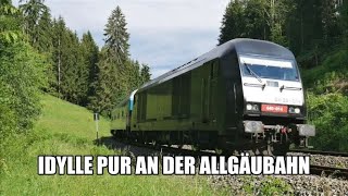 Zugverkehr in Heimhofen an der Allgäubahn mit EC, alex, BR218 446, BR612