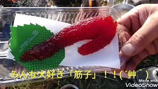 下湯ダムキャンプ場で紅葉を眺めてソロキャンプ( ´艸｀) 2019/10/27-28 パート２