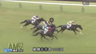 【単勝馬券で投資生活】「まあなんだ」【競馬】　１２日目結果