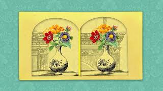 Victorian Virtual Reality: How does stereoscopy work?