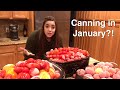 Canning 150lb of Tomatoes in January?!