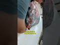 How to Fillet an Opah Fish!