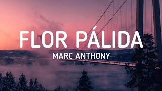Marc Anthony - Flor Pálida (Letra / Lyrics)