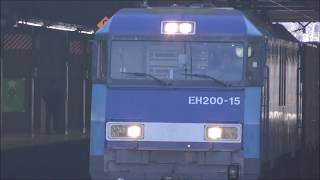 EH200牽引貨物列車 大宮駅通過 JRFreght train pull by EH200 15 Oomiya Station