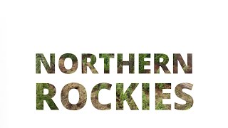 Biodiverse Washington: Northern Rockies Ecoregion