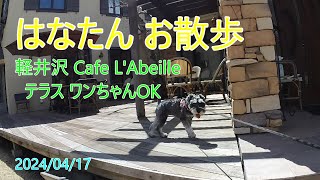 軽井沢 Cafe L'Abeille ワンちゃんテラスOK