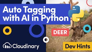 Python AI Image Tagging Tutorial (Flask & Google Vision)