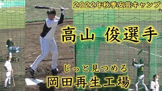 『高山俊選手 復活なるか岡田再生工場』岡田監督自ら見つめるバッティング風景 2022年秋季安芸キャンプ 阪神タイガース 2022年11月3日