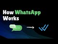 What Happens When You Send a WhatsApp Message?