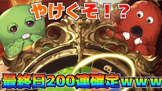 最終日200連ガチャ確定⁉激熱ゆく年くる年キャンペーンがヤバすぎるｗｗｗ【グラブル】