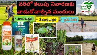 వరి లో గడ్డి మందు🌾🥸/వడే సమయం/తేసుకోవల్సినా జాగ్రత్తలు/varilo gaddi mandu telugu/drum seed vari#viral