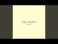 Pulse Lullaby Echo