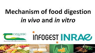 2nd INFOGEST webinar: Overview of gastrointestinal food digestion & static INFOGEST in vitro method