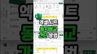 엑셀 시트 동시비교 단축키로  한번에 편리한방법