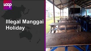 Illegal Manggai holiday