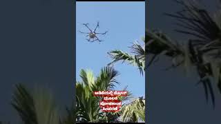 ಅಡಿಕೆಯಲ್ಲಿ ಡ್ರೋನ್ ಮೂಲಕ ಪೋಷಕಾಂಶ ಸಿಂಪರಣೆ #arecanut #foliar spray#Drone spray for Arecanut #Drone