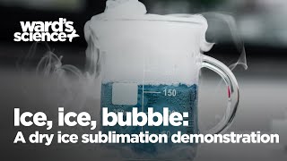 Dry Ice Bubble Demonstration