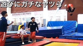 Gymnastics Japan trampoline is too great