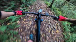 10/06/21 Sketchy, Slippery Downhill to Shingletown - Rothrock State Forest