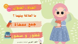 لماذا اجتمعت (الَحَيَوان) مع (الحياة)/إفطار رمضان/سحور الصائم