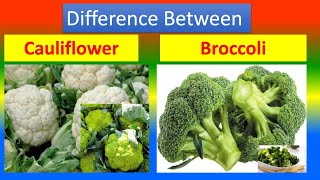 Differences Between Medical And Health Benefits Of Cauliflower  and  Broccoli