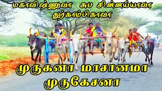 செவல்பட்டி நடுமாடு  22.01.2023 இராமநாதபுரம் மாவட்டம்