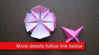 Origami Peony Flower