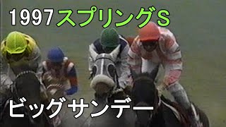 ビッグサンデー 1997年(平成9年)第46回フジTVスプリングS(G2)