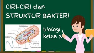 Ciri Dan Struktur Bakteri Kelas 10 | Materi Biologi SMA