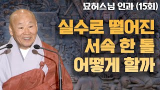 실수로 떨어진 서속 한 톨 어떻게 할까 [묘허스님의 인과 15회]