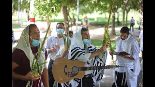 תפילת הלל עם קהילת קרליבך רמת בית שמש