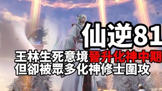 仙逆原著解説81(搶先看)|Renegade Immortal：周佚婷兒的生死，讓王林生死意境更上一層樓！