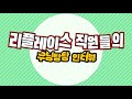 우당탕탕 인터뷰 ep.01 90년대생들이 온다 │리플레이스 직원들 일단 들이대고보는 인터뷰│대표님 리얼 당황│화기애애한 시골스타트업 회사│직원이 전부 90년대생~