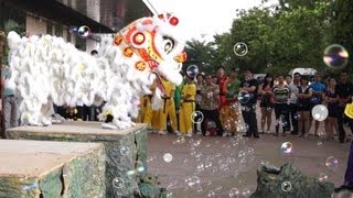 2013 Lion Dance Competition 吧生公商俱乐部醒狮团 2013年傳統舞獅比賽