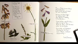 Marking Time in Nature: The Quarantine Herbarium in Historical Perspective