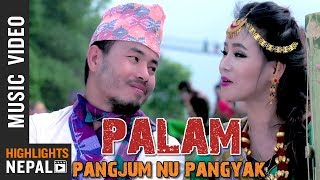 Pangjum Nu Pangyak - Atal Tumbapo \u0026 Ganga Phiyak Ft. Sumi Limbu \u0026 Deni Limbu | Limbu Song 2076