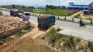 Wonderful! Operated Of filling Flooded land Next to the road Use KOMATSU Dozer And Small Dump Trucks