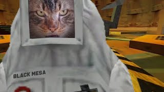 Half-Life Cat 7