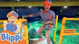 Blippi Visits an Aquarium! | Learm About Animals \u0026 Fish For Kids | Educational Videos For Toddlers